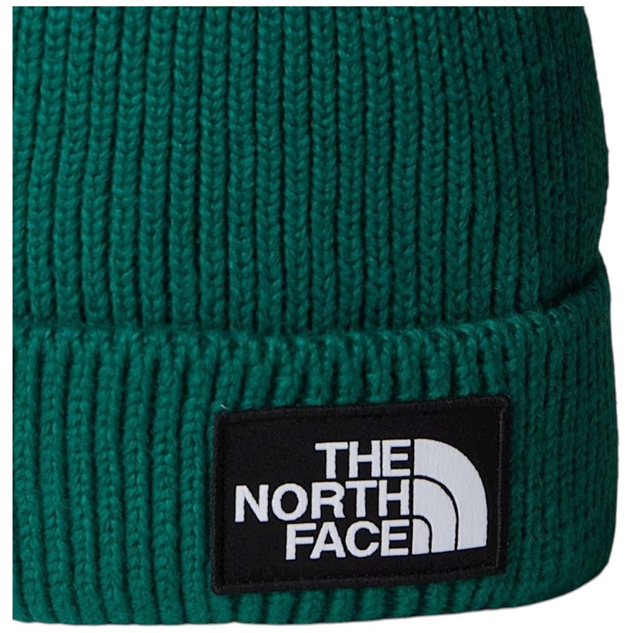  The North Face | NF0A8CHENL1